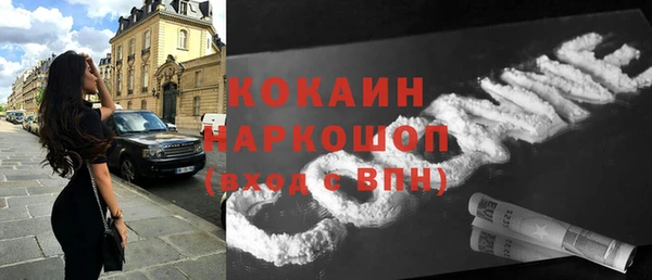 прущие грибы Бородино