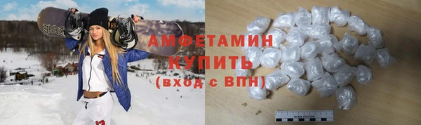 прущие грибы Бородино