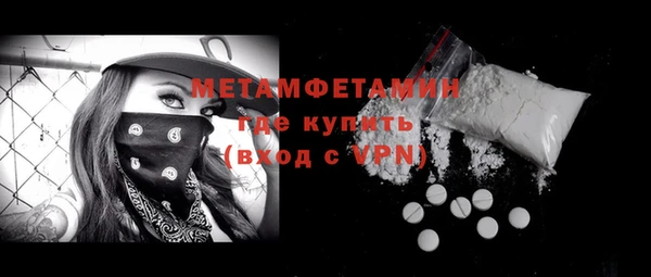 прущие грибы Бородино