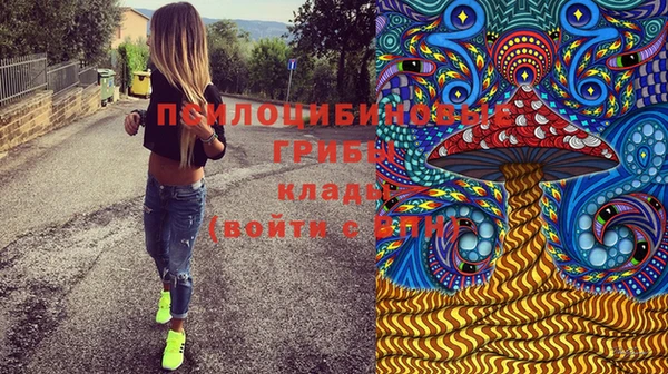 меф Богородицк