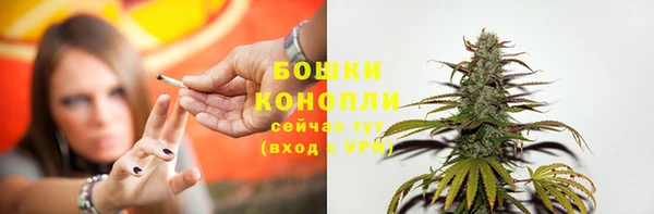 прущие грибы Бородино