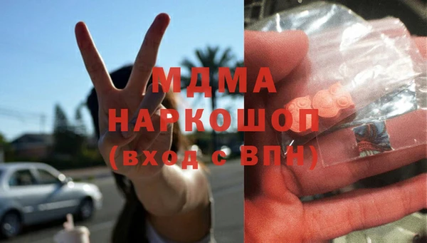 прущие грибы Бородино