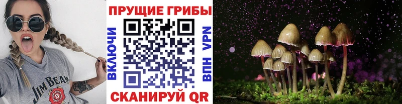 где найти наркотики  Октябрьский  кракен маркетплейс  Галлюциногенные грибы Psilocybine cubensis 